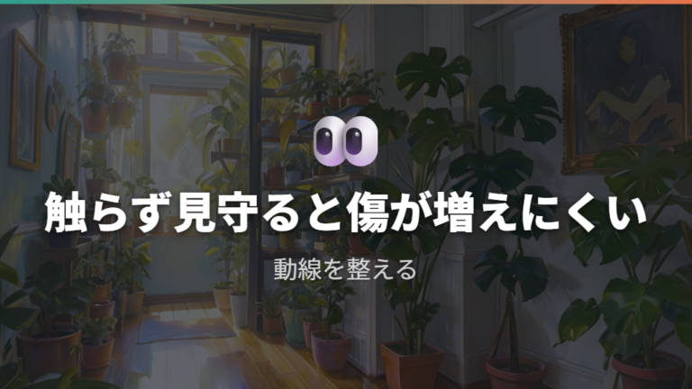 新芽を触らず見守るポイントを押さえる