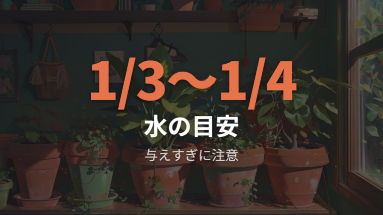 セラミスで植え替える場合の注意点を押さえる