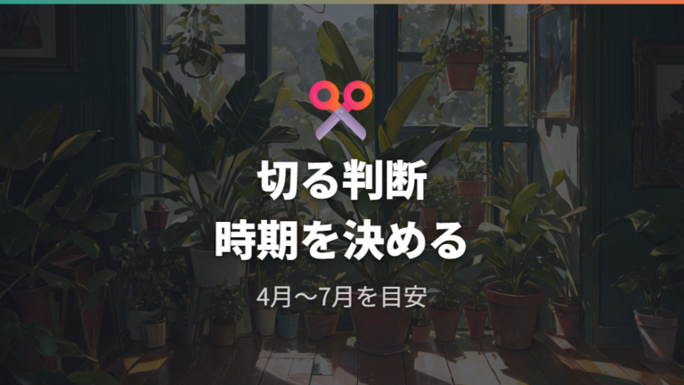 離れてしまった茎を剪定する目安と残す部分の守り方