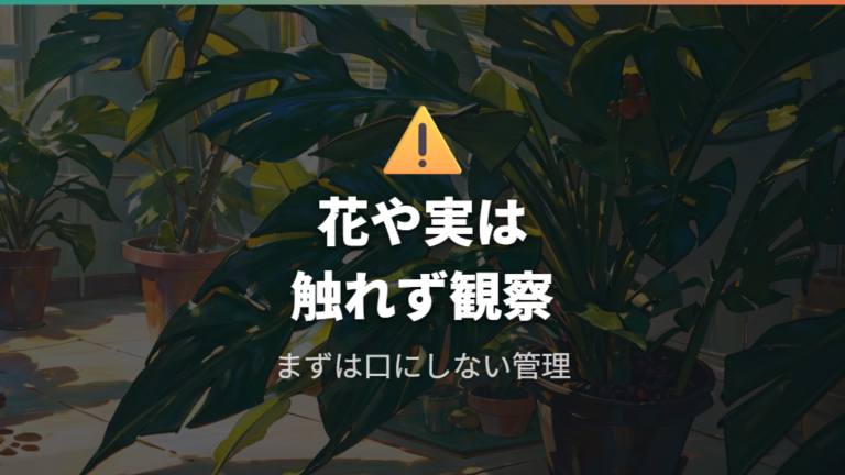 花や実を触るときの注意点は口にしない管理から考える