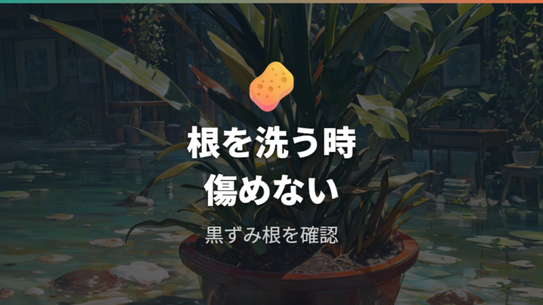 根を洗うときのコツは土を残さず傷めすぎないこと