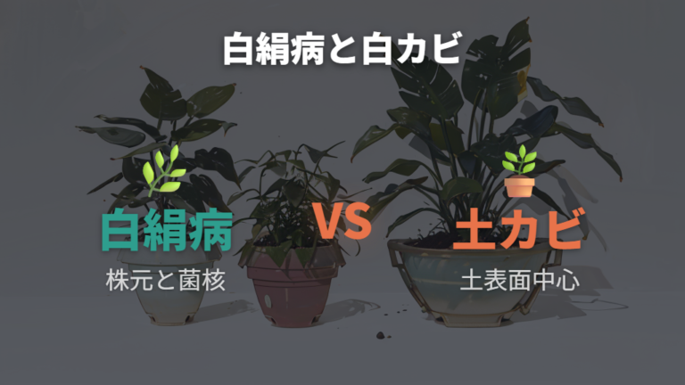 白カビや害虫被害との違いを表で整理する