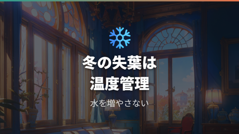 冬に葉が落ちるときの管理は温度と水を変える