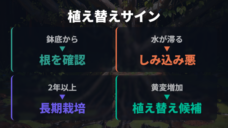 根詰まりなら植え替えるサインを確認する