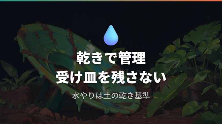 広がりを防ぐ育て方は水やりと通気が土台になる