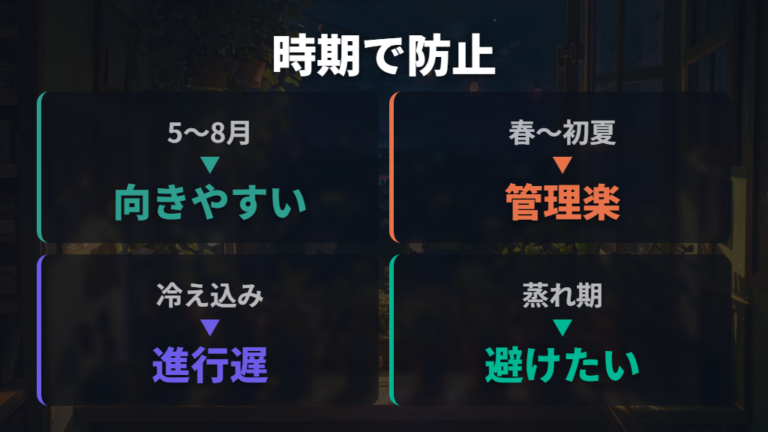 葉挿しに向く時期と温度で腐敗リスクを下げる