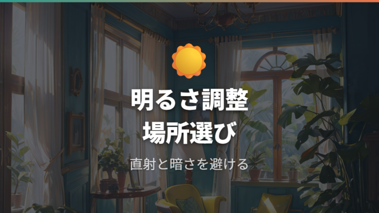 日当たりと置き場所の見直しで光不足を防ぐ