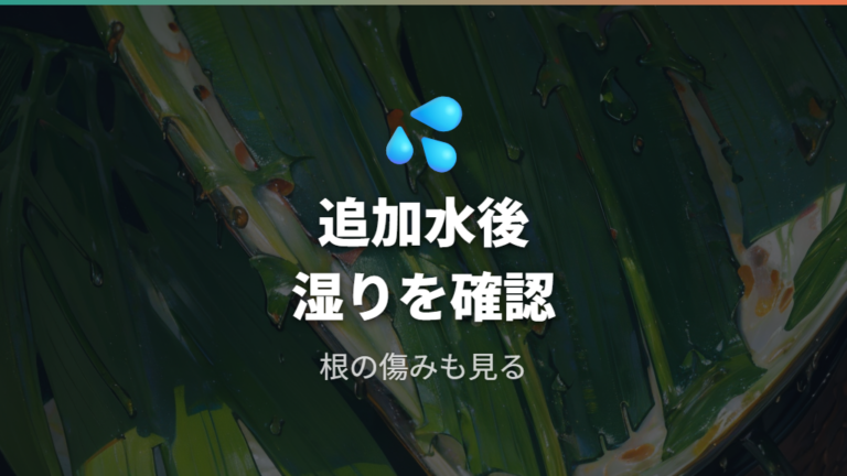 水やり後に復活しないときは湿った土と根の傷みを疑う