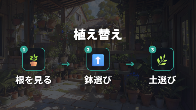 植え替えで根張りを良くする鉢と土の選び方