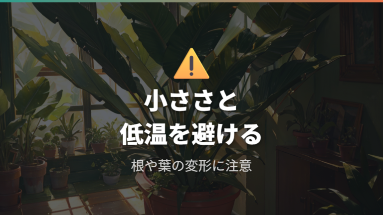 株分けで失敗しない注意点は小ささと低温を避けること