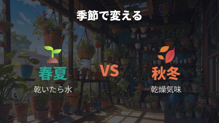 水やりと肥料の見直し方は季節で変える