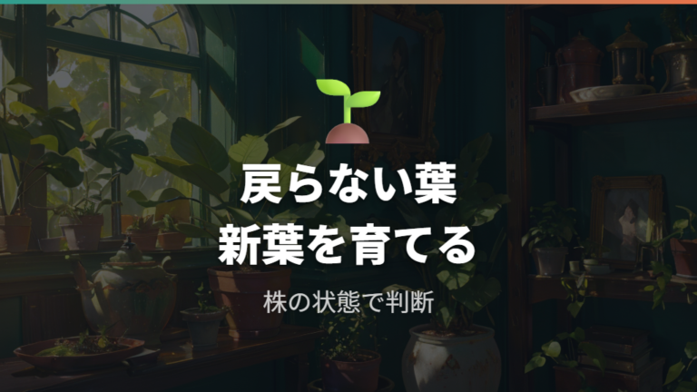 葉色は元に戻るのかは葉焼けか株の弱りかで判断する