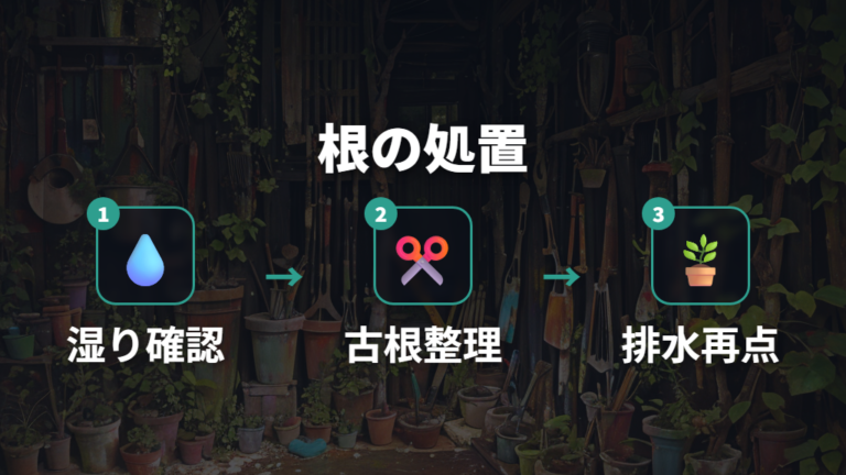 根腐れの見分け方と処置は傷んだ根を整理する