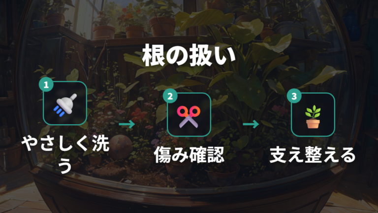 植え替え時の根の扱い方は洗う・切る・支える
