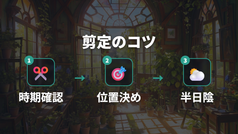 剪定で新芽を増やすコツは時期と切る位置