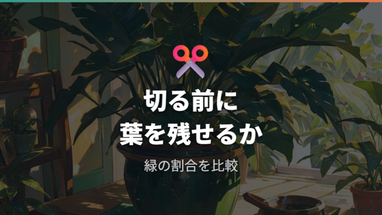 白くなった葉を切る判断基準は緑の部分が残るか