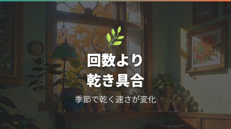 季節別の水やり頻度の目安は固定しすぎない