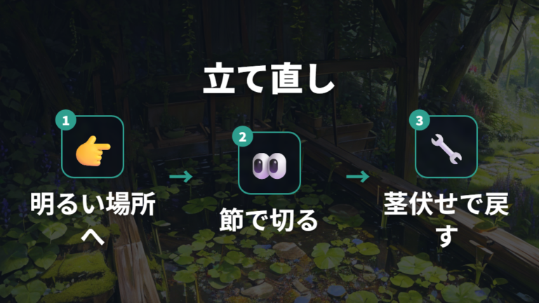 間延びした株の立て直し方は剪定と茎伏せで考える