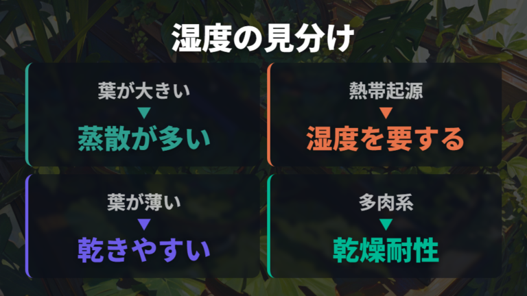 湿度を好む観葉植物の特徴は葉と原産地を目安にする