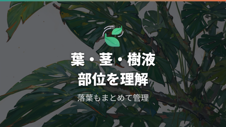 毒がある部位と樹液の刺激を知っておく