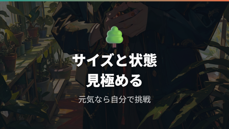 自分で植え替える判断基準はサイズと状態