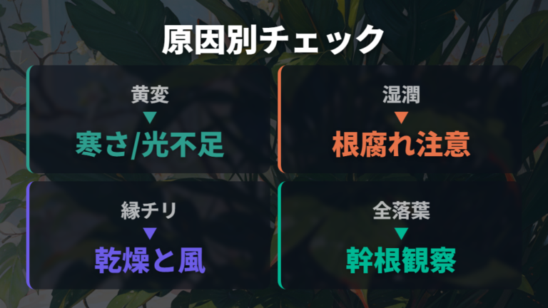 冬に葉が落ちる原因と対処法を症状別に見る
