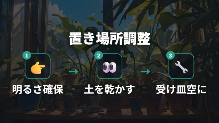 葉を増やす置き場所と水やりを整える