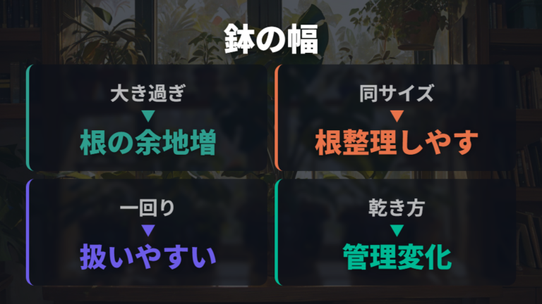 鉢サイズで成長を調整するなら大きすぎる鉢を避ける