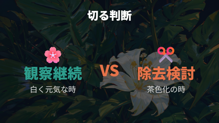 咲いた花は切るべきかを花後の状態で判断する