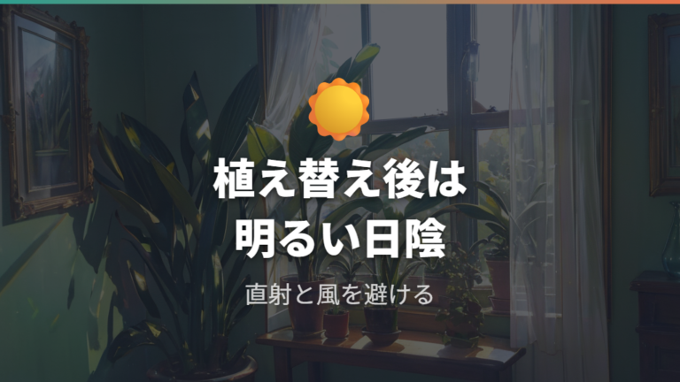 植え替え直後の置き場所と水位は控えめに整える