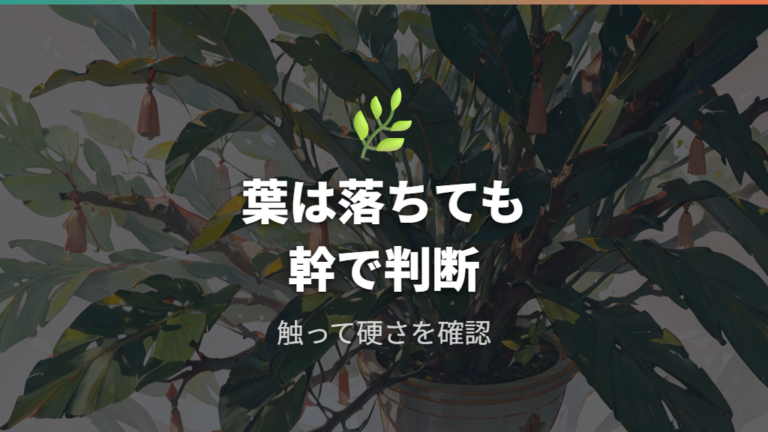 寒さで葉が落ちたときの対処法は幹の硬さ確認から