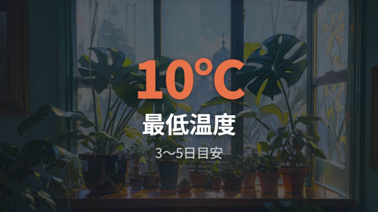 寒さや温度変化への注意点は冬の窓際に出やすい
