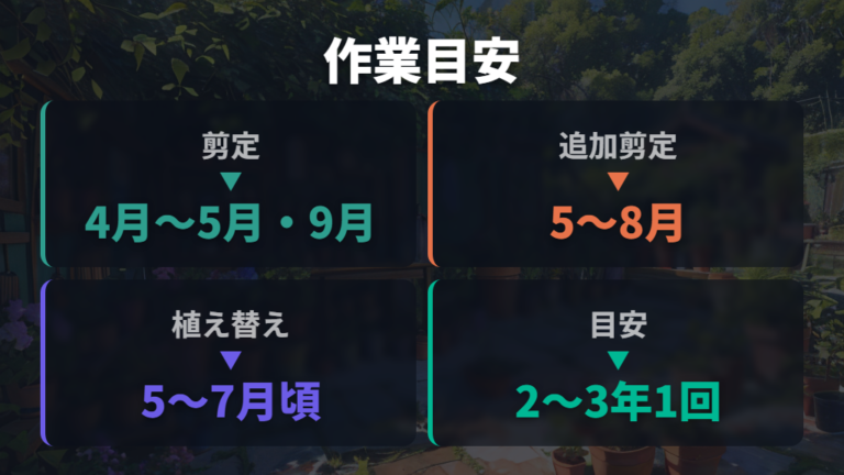 剪定と植え替えの時期は生育期を目安にする