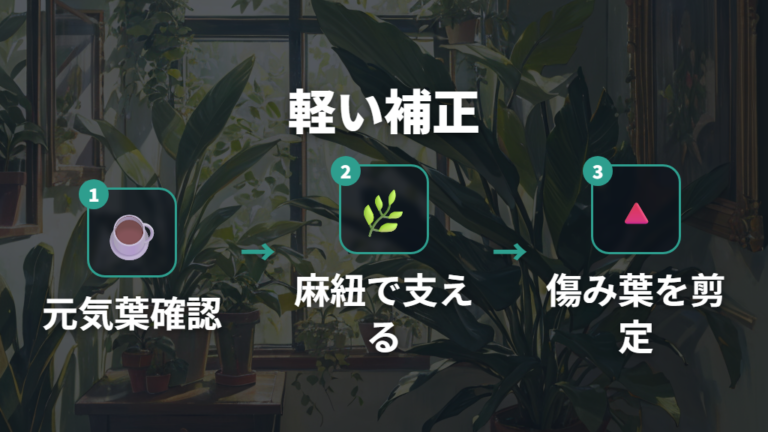 広がった葉を整える方法を軽い補正から試す