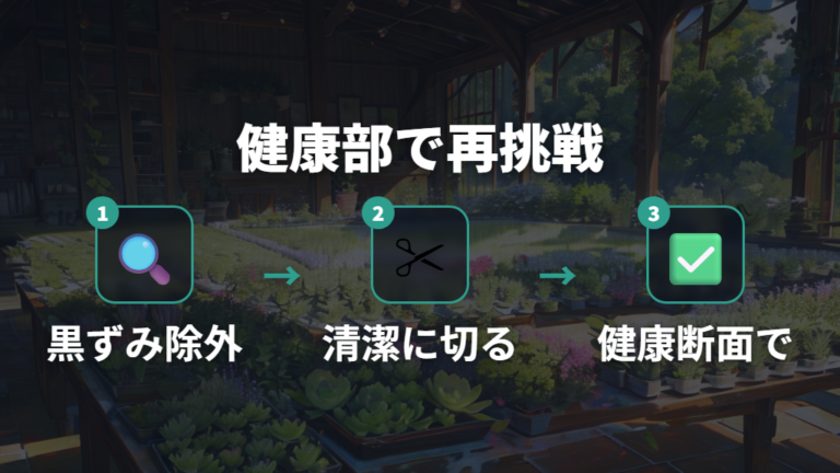 腐った葉の切り戻し方は健康な断面まで切る
