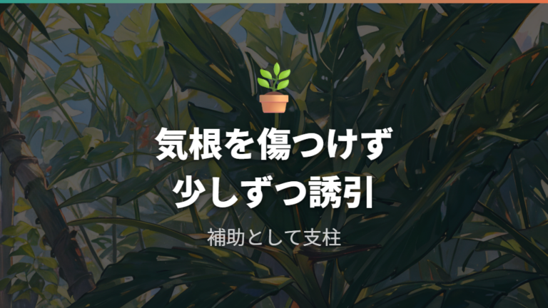 支柱で株姿を整える方法は気根と茎を傷つけずに進める