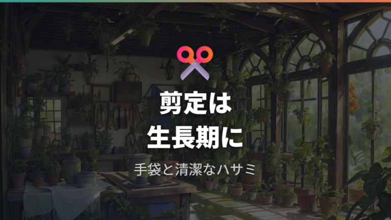 剪定で樹形を整えるコツは生長期と安全対策