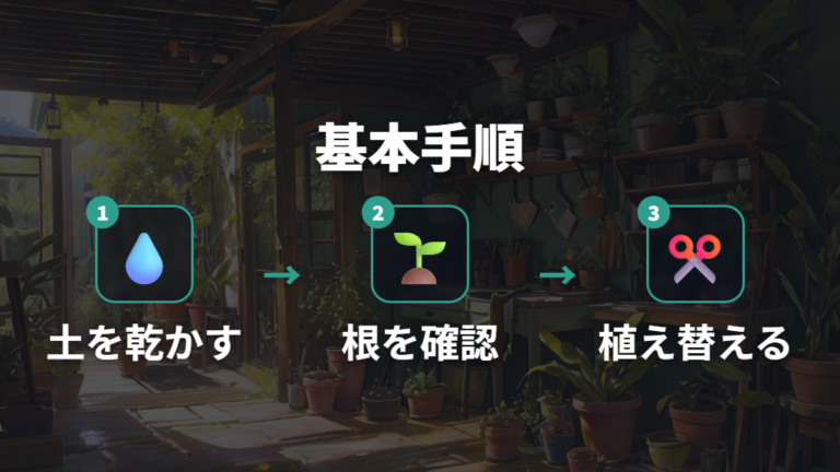 株分けの基本手順を順番に進める