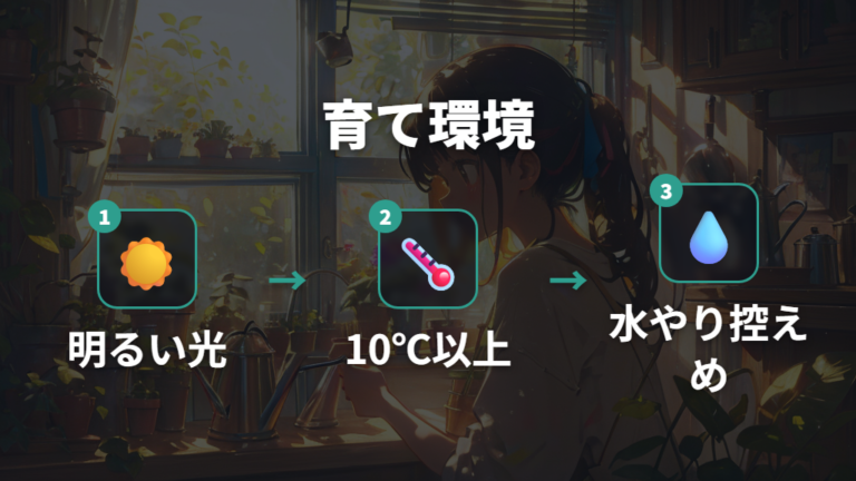 大きく育てる環境づくりは光・温度・湿度・水やりを整える
