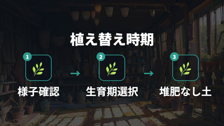 植え替えで土をリセットするなら時期と用土を選ぶ