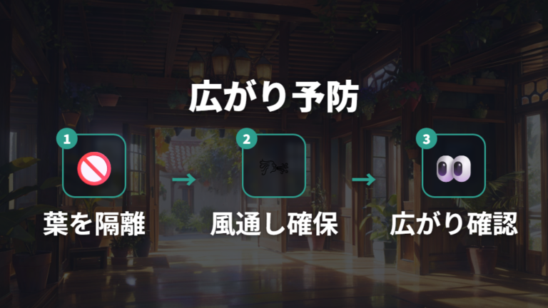 うどんこ病を広げない対処法は隔離と風通しから
