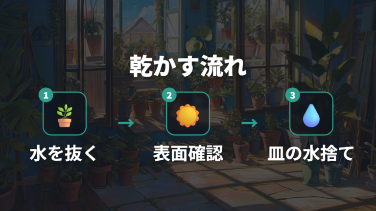 虫やカビ対策は乾かす管理から始める