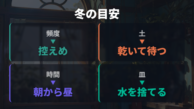 冬の水やりで失敗しないコツを季節表で整理する