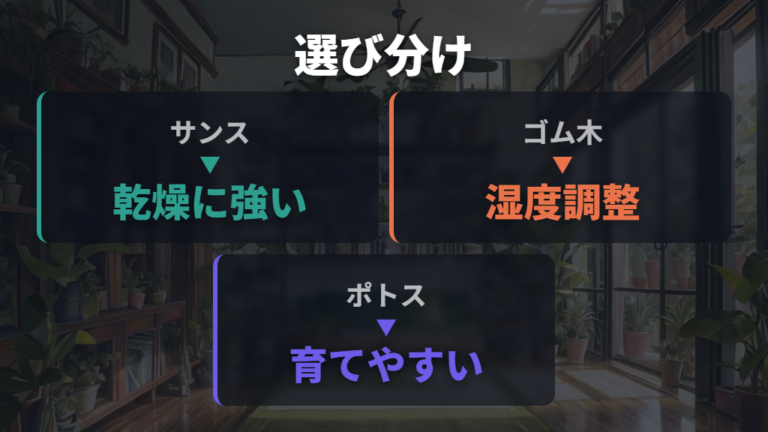 他の観葉植物との効果の違いは乾燥への強さと夜間の性質