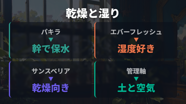 パキラは土の過湿に注意する例として見る