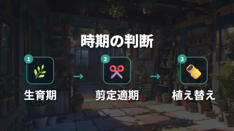 剪定と植え替えのタイミングは生育期を基準にする