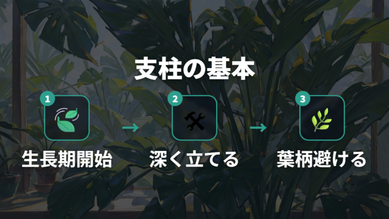 支柱で上に大きく仕立てる基本手順