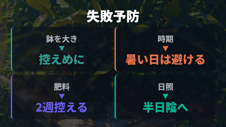 植え替えで失敗しやすい点を先に避ける