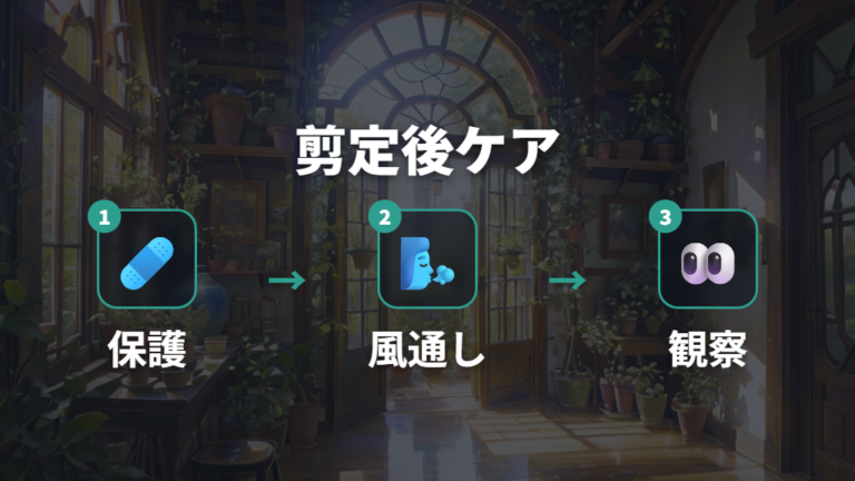 剪定後に樹液が出たときの管理は切り口を守る
