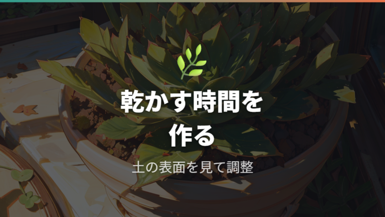 枯らさない水やりと置き場所は乾湿と光のメリハリが大事
